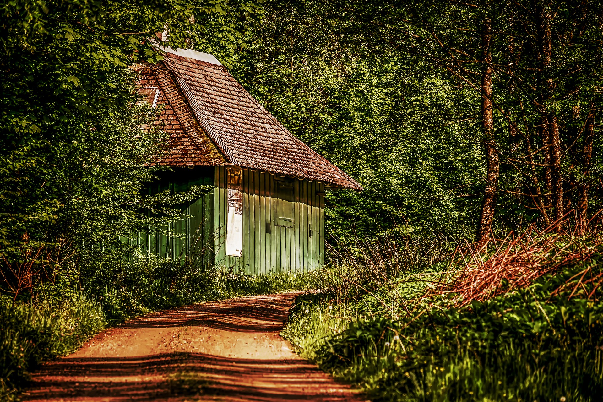 dřevěný dům v lese