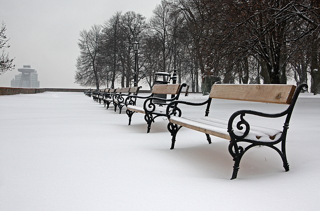 sníh v parku.jpg